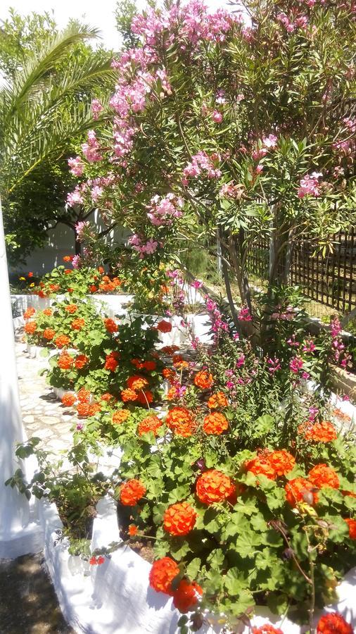 Gorgona Rooms Aliki  Luaran gambar